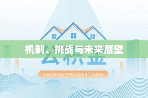北塘机制、挑战与未来展望